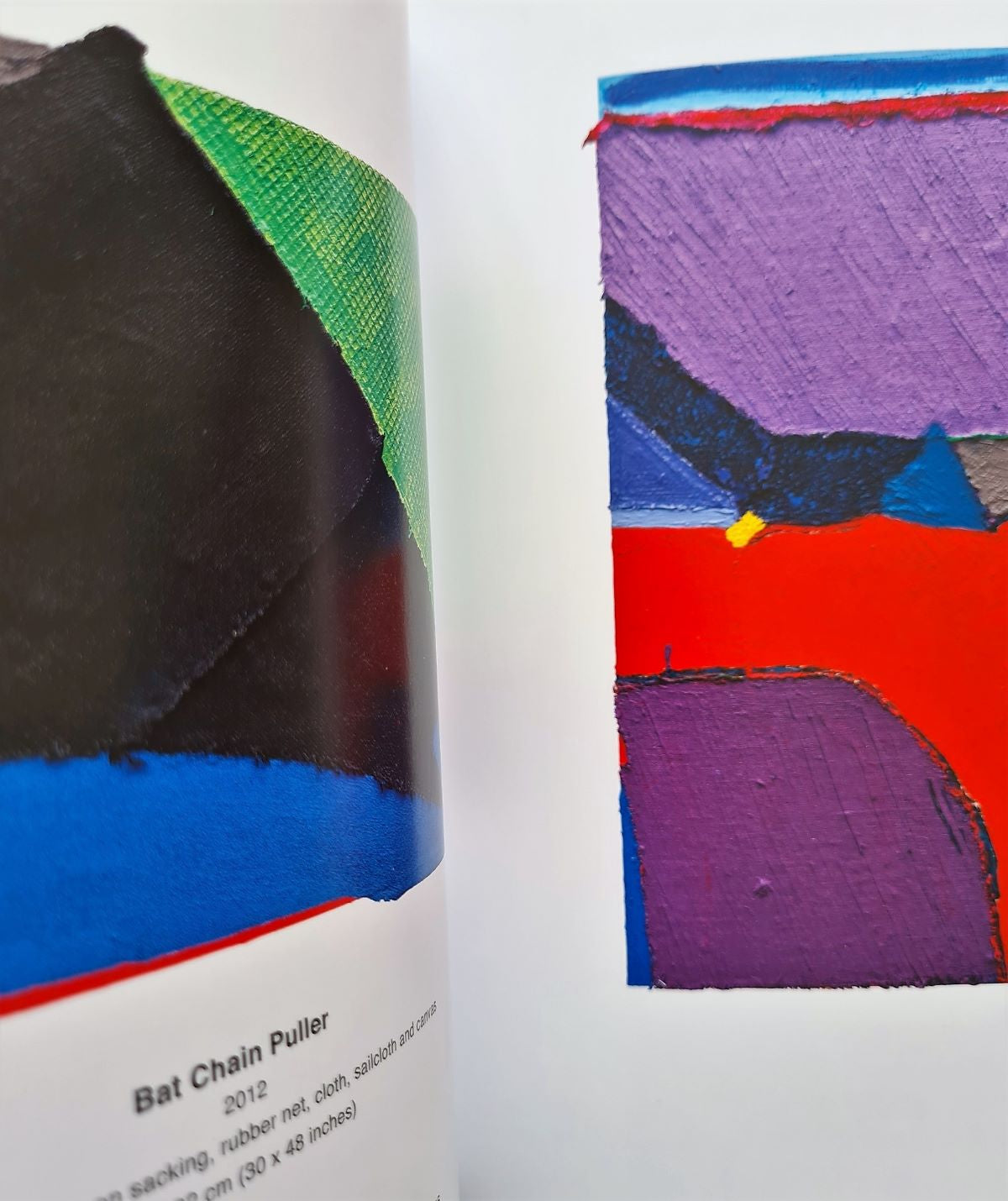 Anthony Frost Sun Zoom Spark exhibition catalogue